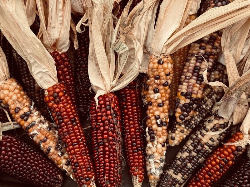 Farm-Fresh Produce
