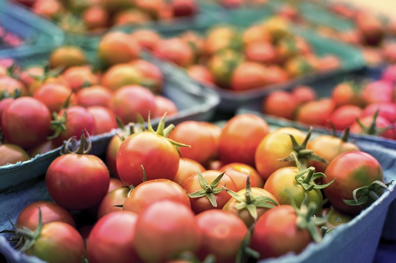 Farm-to-Table Dining